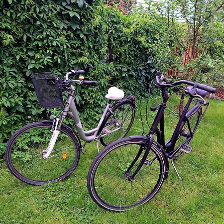 Donaco Lägenhet Liepāja Exteriör bild